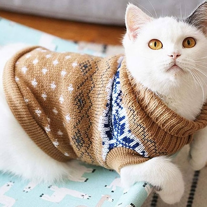 Winter Style for Cats: The Essential Cat Sweater Look