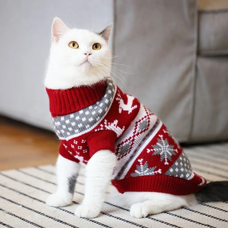 cat sweater