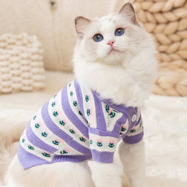 cat sweater