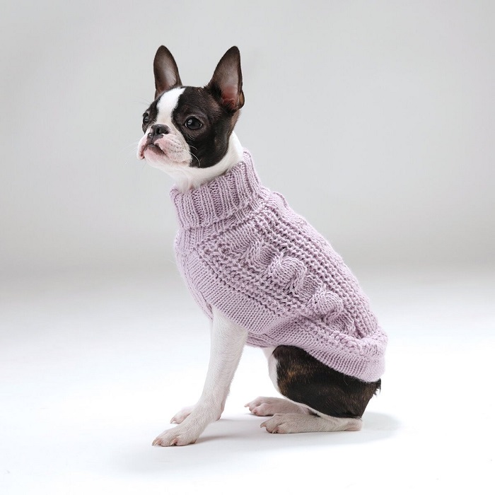 A Cozy Dog Sweater: The Intersection of Style and Comfort