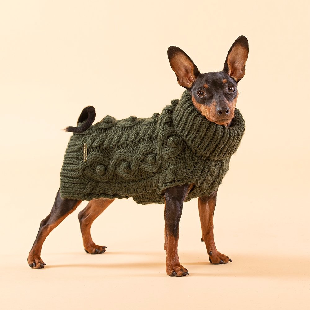 dog sweater