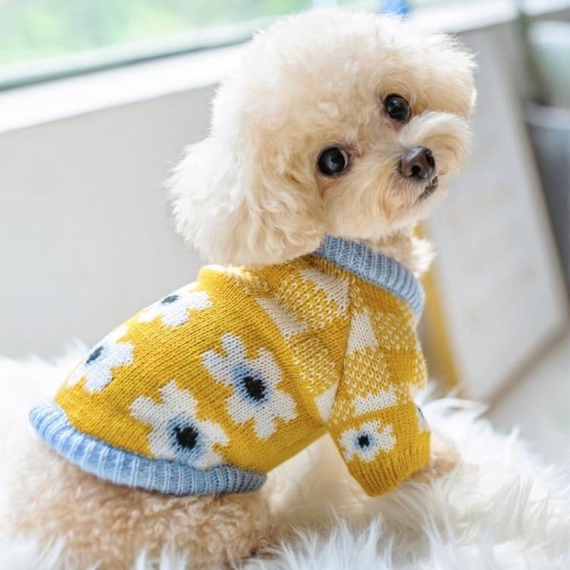 dog sweater